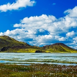 Icelandic Landscape