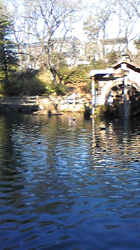 Nabeshima Shoto Park